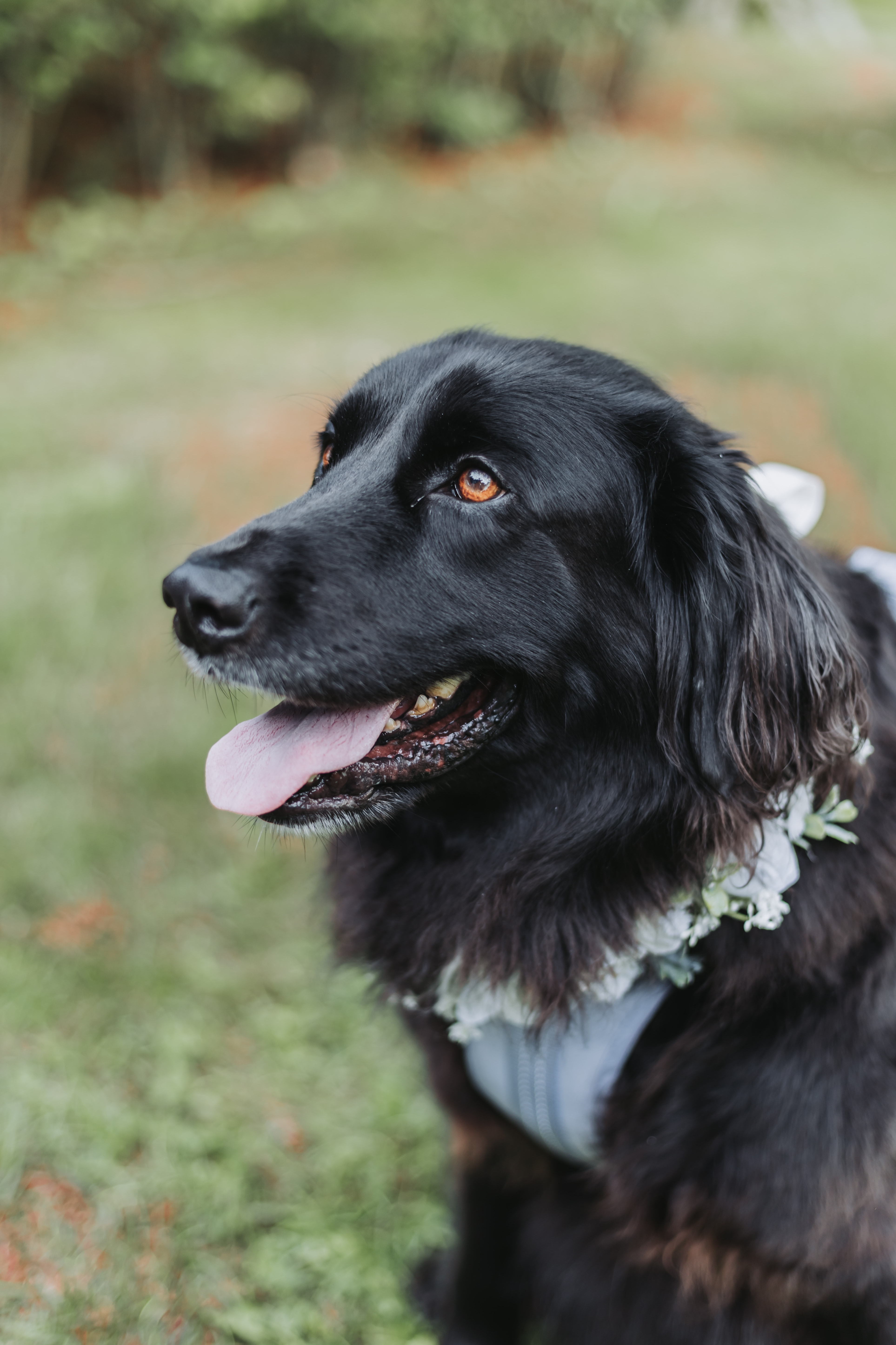 Bridal portrait with greenery