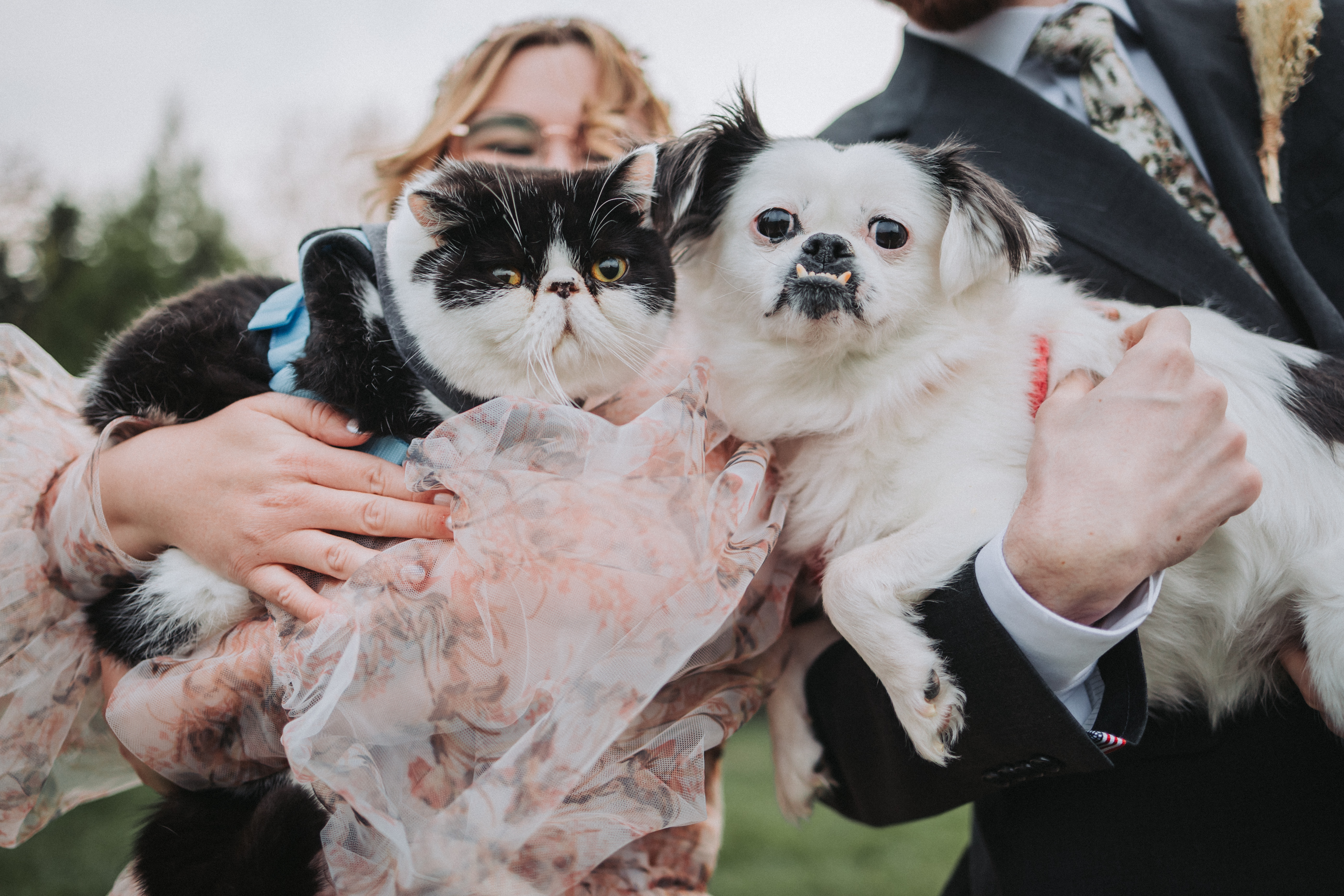 Wedding frame 9 — Washington DC
