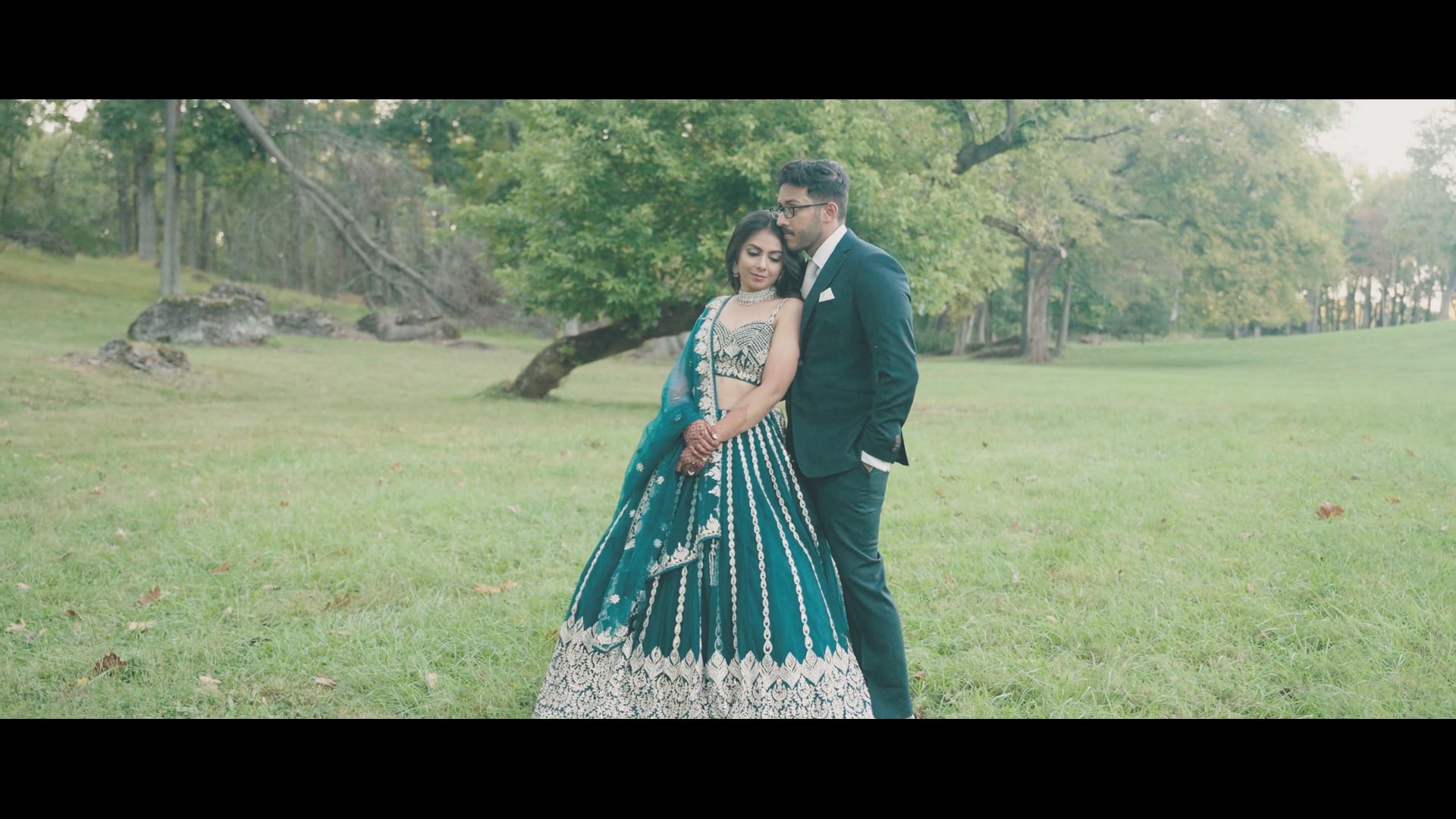 An Indian Wedding — Sangeet · Sari